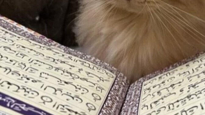 Kuran okuyan her insan iyi bir insan mıdır?