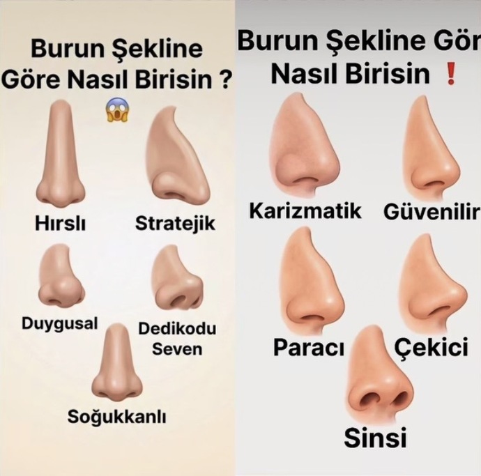 Sizin burun şekliniz hangisi?