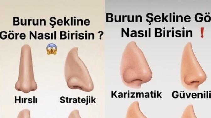 Sizin burun şekliniz hangisi?