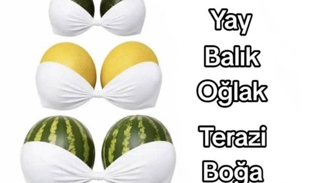 Hangi Burçsunuz Yorumları Bekliyorum 👀?