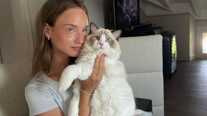 Maddi durumum kötü, ailem evde hayvan istemiyor; kedimi ne yapacağım, ne önerirsiniz?