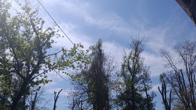 Şu an bulunduğunuz yerden anlık fotoğraf atar mısınız, nerdesiniz?
