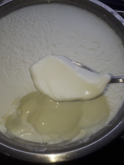 Ev yapımı yoğurt sever misiniz?