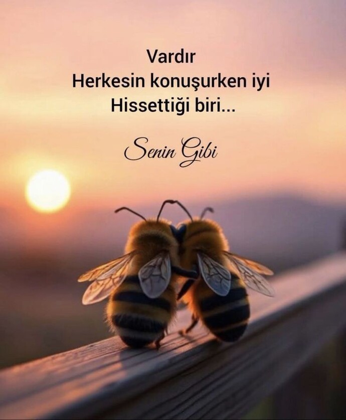 Hayatınızda size “iyi gelen” biri var mı?