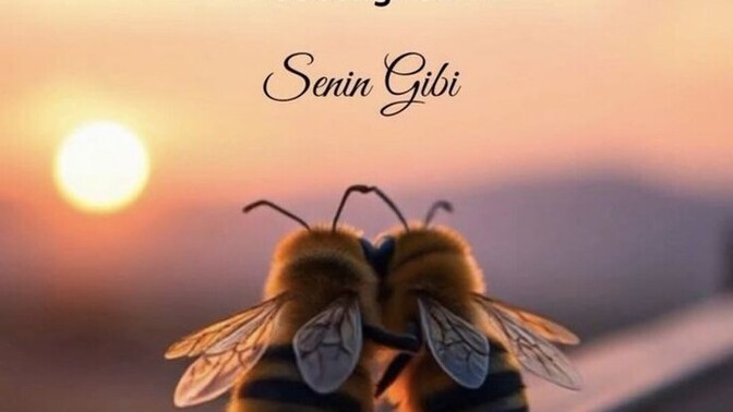 Hayatınızda size “iyi gelen” biri var mı?