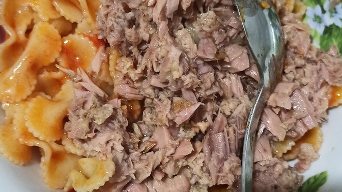 Ton balığı sever misiniz?