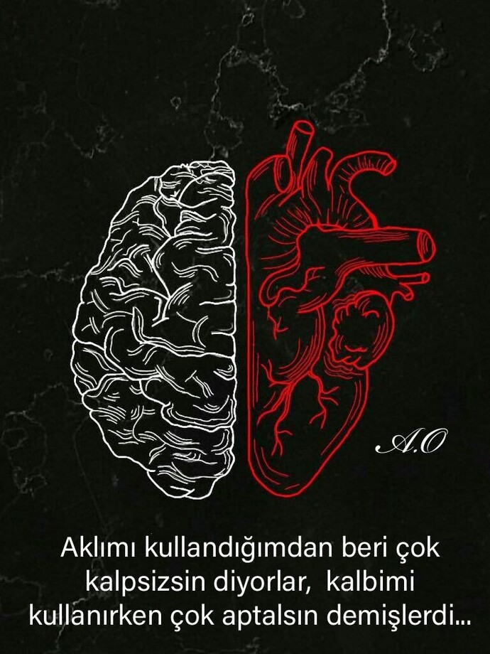 Seçimlerini aklınla mı daha çok yapıyorsun yoksa kalbinle mi?