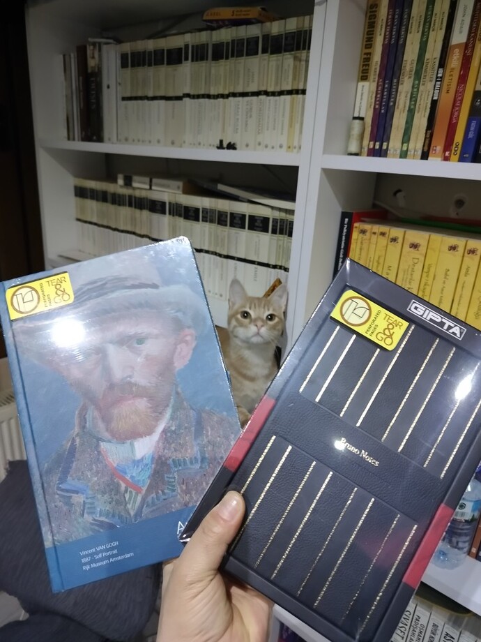 Sizce hangisiyle başlayım?
