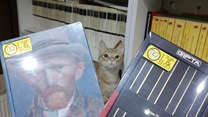 Sizce hangisiyle başlayım?