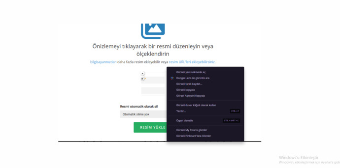 Karadut özü soda karışımını deneyen var mı, nasıl buldunuz?