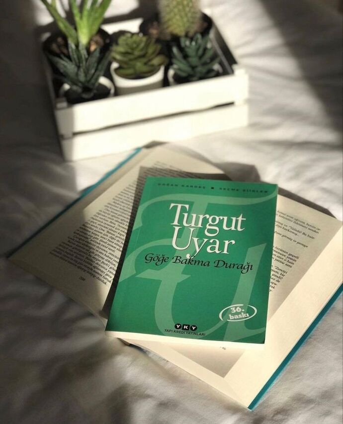 Tekrar tekrar okuyup mest olacağım etkileyici şiir kitapları önerebilir misiniz?