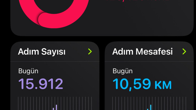 Yürüyüş yapmayı sevenler, günde 1 saat yürüyüş size de iyi geliyor mu?