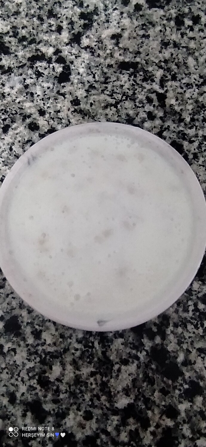 Bugün kü yemek yöresel eleştiri yapdan yorum yapın?