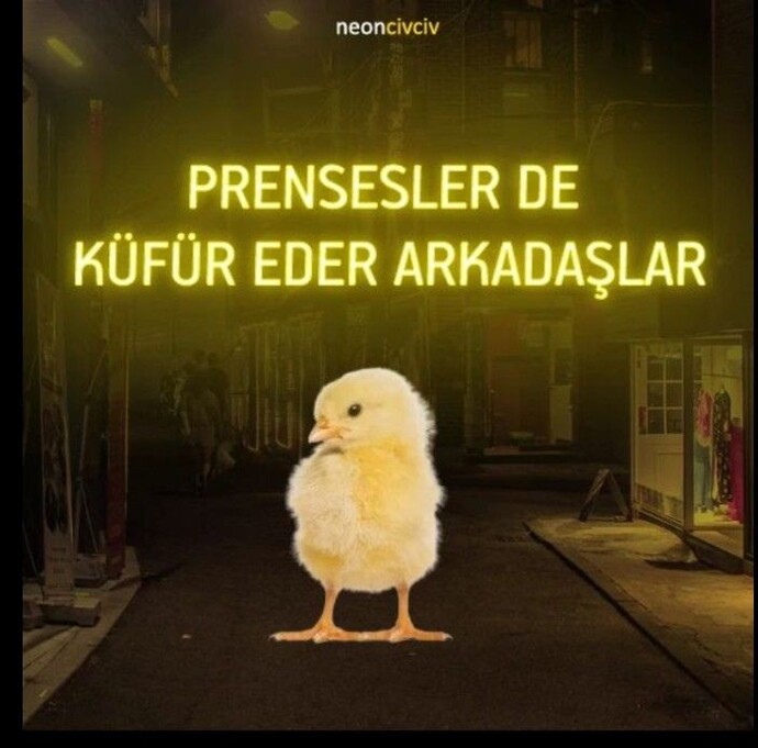 Günlük hayatınızda hiç küfür kullanıyor musunuz?