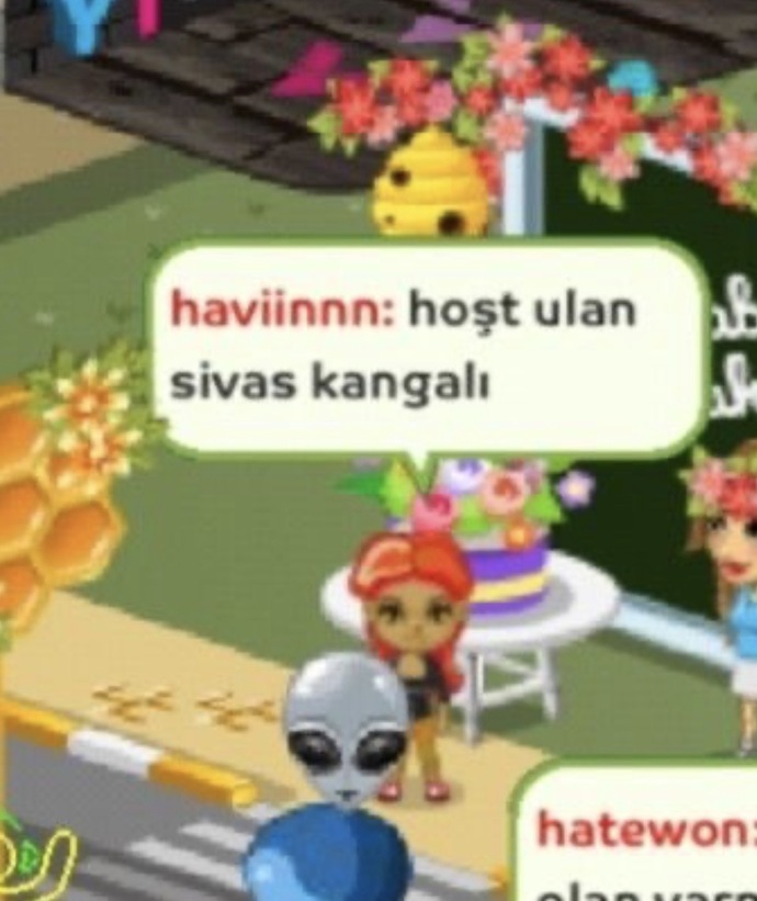 Güncel ekran kağıdınız ne ajdhjs?