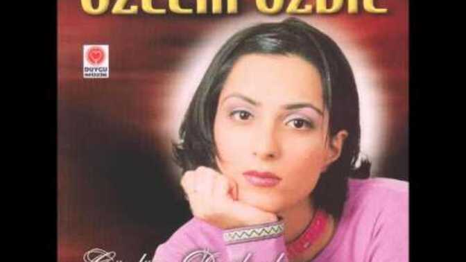 Anlık hangi müziği dinliyorsunuz?