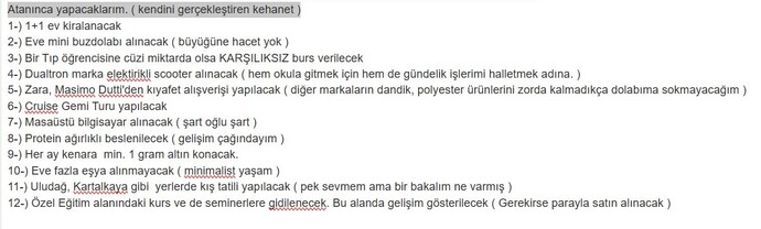 Atanınca yapacaklarımı listeledim, nasıl görünüyor 😁?
