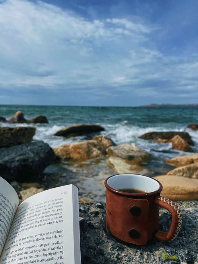 Issız bir adaya düşsen yanına alacağın üç kitap ve başucu kitapların hangileri olur?