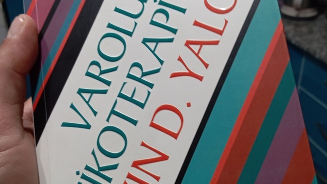 Issız bir adaya düşsen yanına alacağın üç kitap ve başucu kitapların hangileri olur?