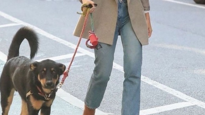 Köpek gezdirmeye çıkarken kot pantolon üstüne blazer ceket giyilir mi?