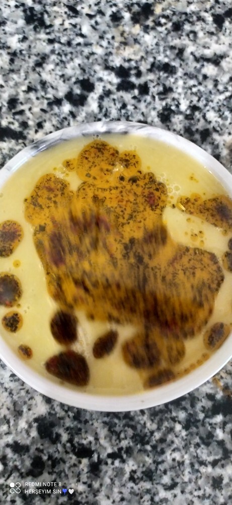 Bugün kü menüde kaz eti etli bulgur ve çorba vardı ama sadece çorbayı atacam çok eleştiri istemiyorum artık?