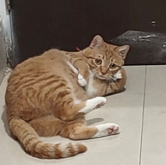 Saçma gösteriş dediğiniz şeyler neler?