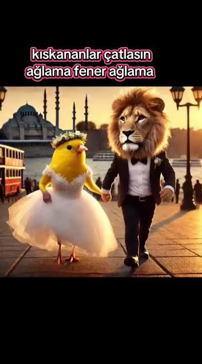 Bu geceye iki renk bırakır mısınız?