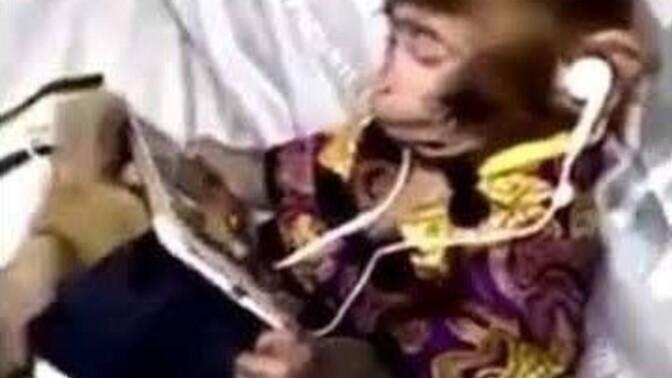 Bu hayatta size ne enerji verir?