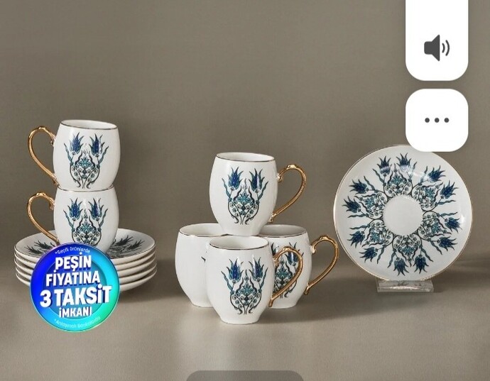 Karacanın hangi desenli fincanı daha güzel?