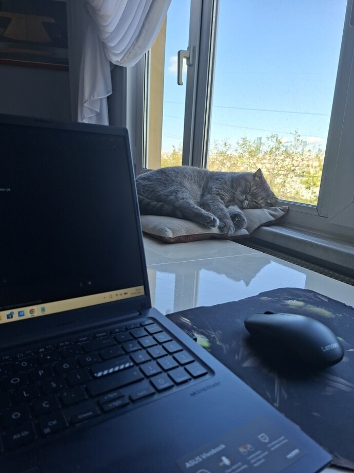Sokaktan ölmek üzereyken sahiplendiğim duman 4 senedir bizde, sizce de çok tatlı değil mi?