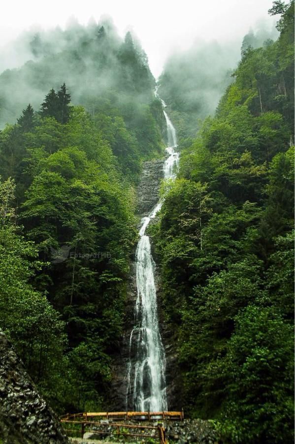 Hiç siz de Dağ başında bir kulübeye yerleşip tek başıma yaşasam mı? diye en az bir kere düşündünüz mü 😅🏕?