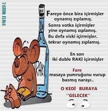 Cesaretiniz neye dayanıyor?