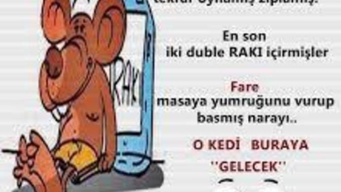 Cesaretiniz neye dayanıyor?