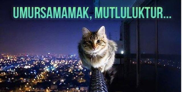 Her şeyi bu kadar kafaya takmadan umursamaz olmayı gerçekte nasıl başarıyorsunuz?