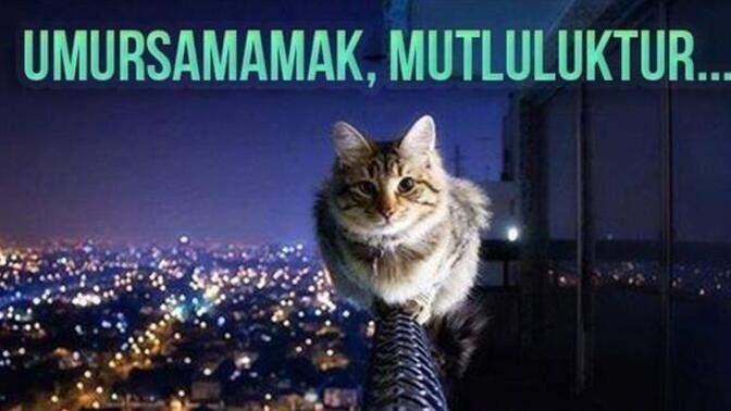 Her şeyi bu kadar kafaya takmadan umursamaz olmayı gerçekte nasıl başarıyorsunuz?