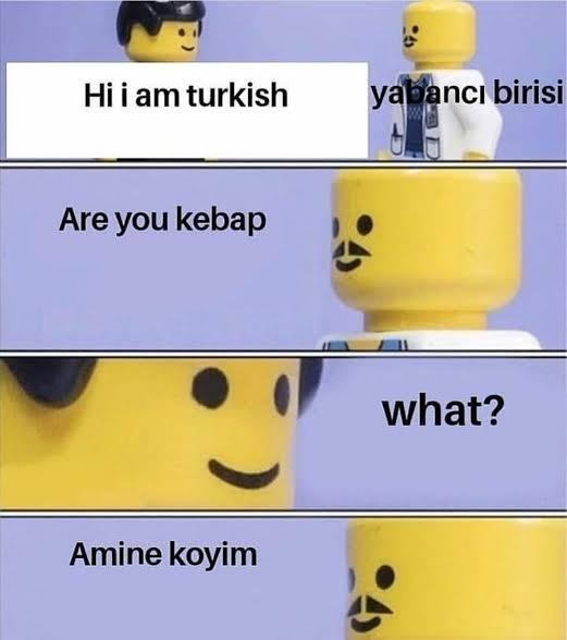 Yabancıların yanında özellikle Türk oldugunuzu belli etmeye calısıyor musunuz?