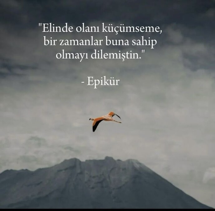 Hayat bir satranç tahtasıysa; bazen kazanmak için en değerli parçanızı feda etmeye değer mi?