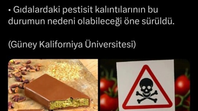 Her şey zararlı diyorlar, gerçekten ne tüketmeliyiz ve kime inanmalıyız?