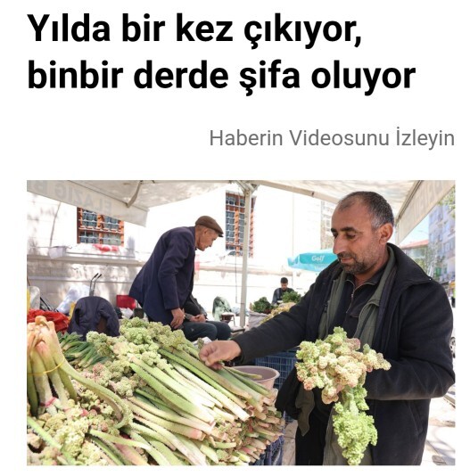 Elazığ’da “doğunun muzu” ışkın kilosu 400 TL’ye düşmüş; sizce bu fiyata yemeye değer mi?