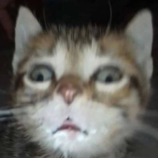 Süt içmeyi sever misin?