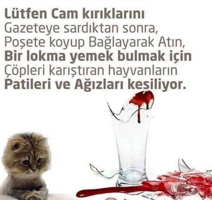 Lütfen dikkat ediniz dikkat edenler burdamı?