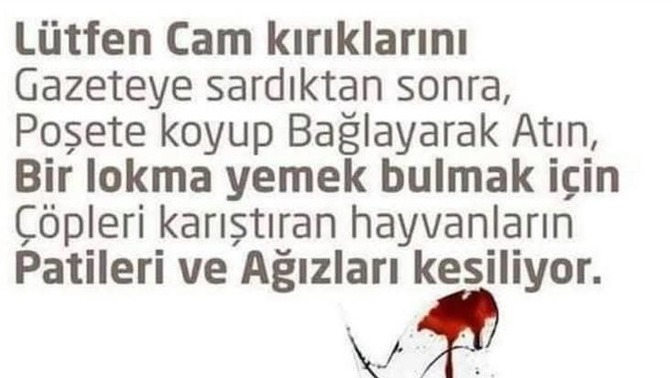 Lütfen dikkat ediniz dikkat edenler burdamı?