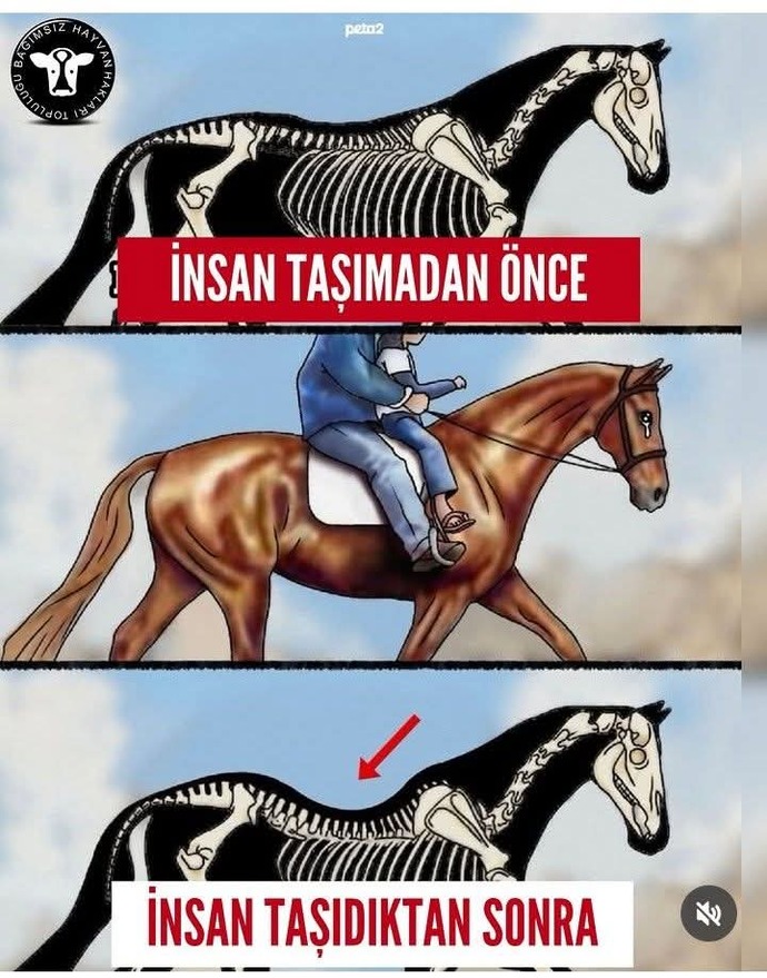 Lütfen bu zulüme karşı sessiz kalmayın siz de bu zulüme karşı baş kaldırmak istermisiniz?