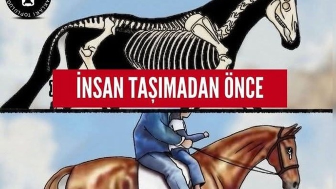 Lütfen bu zulüme karşı sessiz kalmayın siz de bu zulüme karşı baş kaldırmak istermisiniz?
