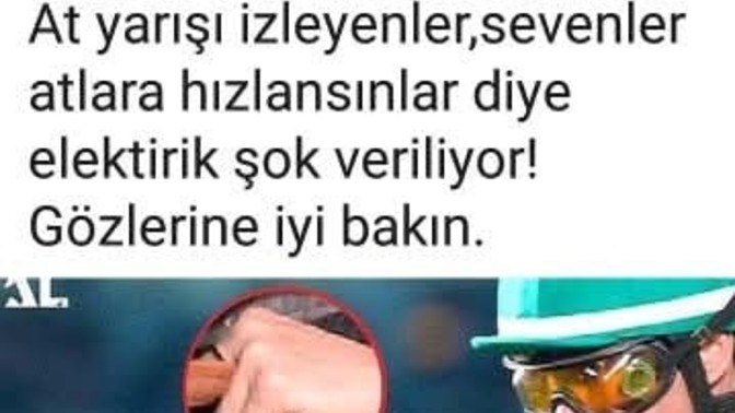 Lütfen at yarışlarına hayır dermisiniz?