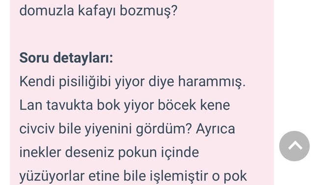 Müslümanlar neden domuzla kafayı bozmuş?