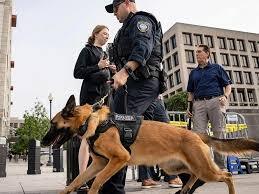 K34 köpeği olmasaydı emniyet teşkilatı uyuşturucu operasyonlarında başarılı olabilir miydi?