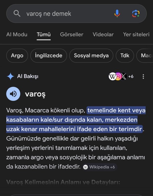 Nasıl yaniiii Google aşırı sinir oldum resmen bana varoş dediiii?