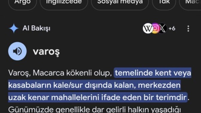 Nasıl yaniiii Google aşırı sinir oldum resmen bana varoş dediiii?