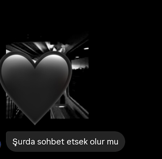 Mesaj karşında ben bir şey diyemedim.